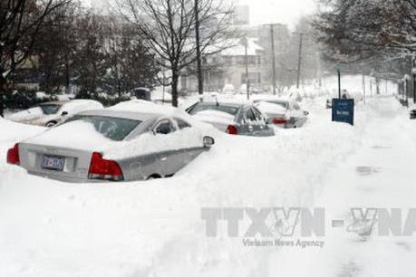 Bão mạnh tấn công Đông Bắc Mỹ, 5 người thiệt mạng