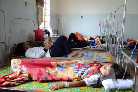 Vụ hơn 70 học sinh nhập viện nghi ngộ độc thực phẩm: Đồng Nai tạm dừng Đề án Sữa học đường