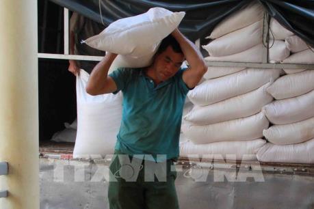 Hàn Quốc viện trợ 10.000 tấn gạo các tỉnh miền Trung Việt Nam bị thiệt hại do thiên tai