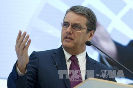 Tổng giám đốc WTO cảnh báo về kế hoạch áp thuế của Mỹ