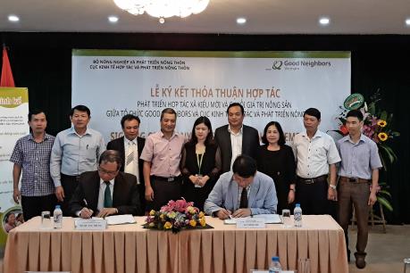 Phát triển hợp tác xã kiểu mới và chuỗi giá trị nông sản tại Việt Nam