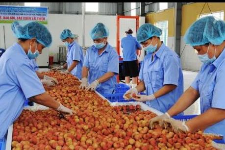 Giải pháp để tận dụng các cơ hội từ CPTPP