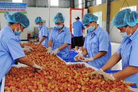 Giảm thất thoát, lãng phí thực phẩm bằng giải pháp công nghệ