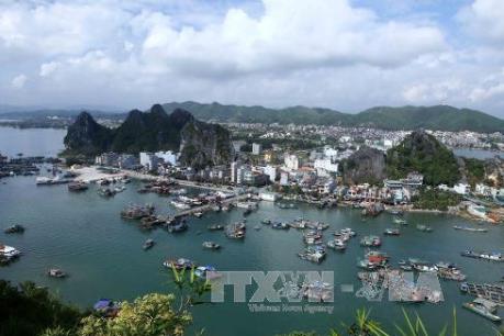 Quy chế hoạt động của Ban Chỉ đạo quốc gia xây dựng đơn vị hành chính - kinh tế đặc biệt