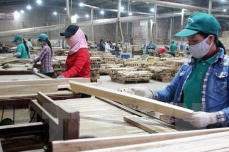 Nhiều cơ hội cho ngành gỗ Việt Nam từ nhu cầu thị trường thế giới​
