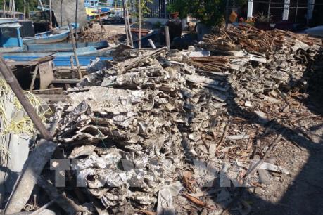 Nuôi hàu bằng tấm fibro xi măng có ảnh hưởng thế nào tới môi trường?