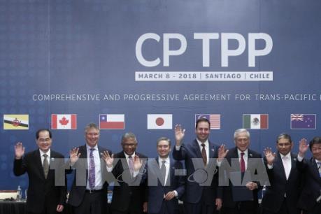 Hãng Moody’s: Malaysia là nước hưởng lợi nhất từ CPTPP