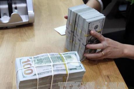Giá USD hôm nay 25/1