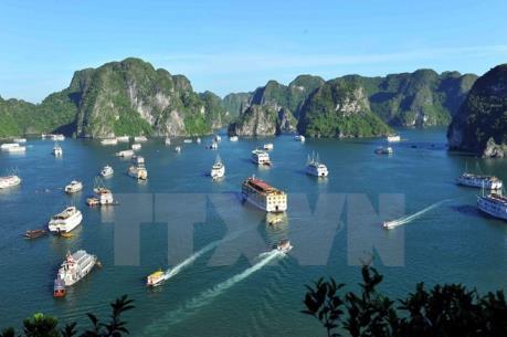 Tạm đình chỉ 3 tàu du lịch vi phạm quy định hoạt động trên vịnh Hạ Long