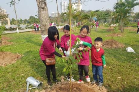 Thêm 500 cây hoa anh đào được trồng tại Công viên Hòa Bình, Hà Nội