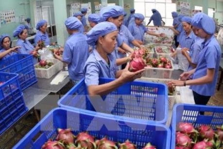 Trăn trở nông sản Việt Nam và bài toán xuất khẩu