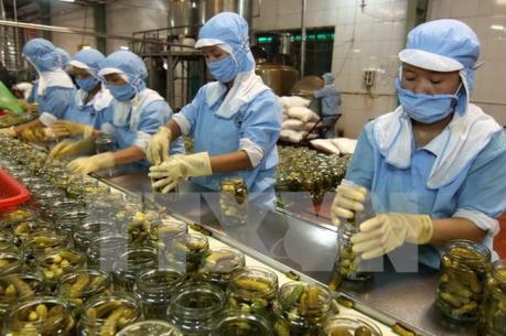 Chuyên gia Singapore khuyến nghị Việt Nam đẩy mạnh cải cách để tận dụng CPTPP