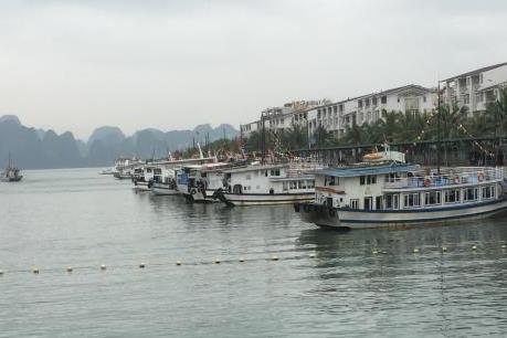 Bạn biết gì về mô hình “xe bus” trên vịnh Hạ Long?