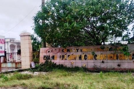 Thái Bình: Giải quyết dứt điểm những sai phạm của Công ty Trách nhiệm hữu hạn Phú Hà Thái