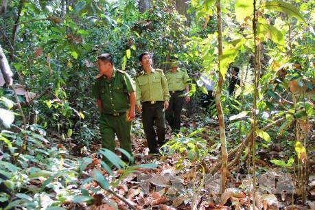 Tây Ninh sáp nhập, mở rộng vườn quốc gia Lò Gò - Xa Mát
