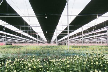 PAN Farm muốn tăng sở hữu Vinaseed lên hơn 80%