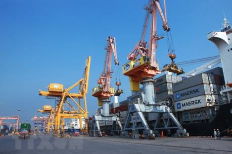 Sắp thực hiện dịch vụ trung chuyển hàng hóa tại cảng Tân Vũ