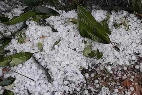 Mưa đá gây thiệt hại nhà cửa, cây trồng của người dân huyện Mộc Châu