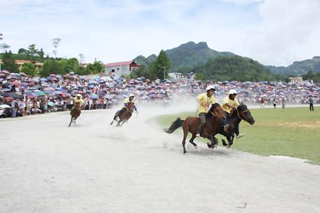 Hấp dẫn Giải đua ngựa, đấu ngựa truyền thống