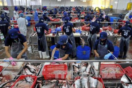 DOC ban hành kết luận cuối cùng về biện pháp chống phá giá cá tra-basa của Việt Nam