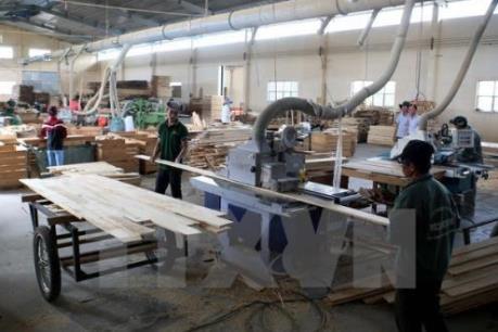 CPTPP: Cơ hội và thách thức với doanh nghiệp Việt