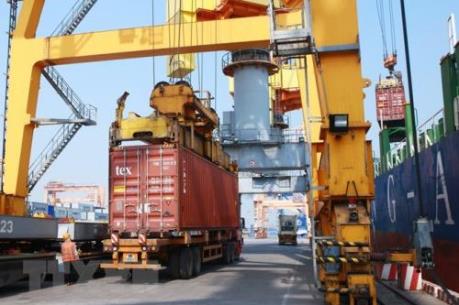 Chi nhánh Cảng Tân Vũ đưa thêm 2 cần trục giàn tầm với 14 hàng container vào hoạt động