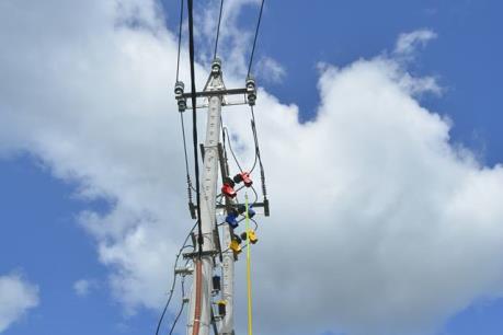 Bình Định triển khai sử dụng công tơ điện điện tử Rf-Spider