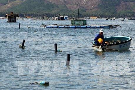 Phú Yên: Sẽ kiểm tra việc nhiều hộ dân hút cát để cải tạo hồ nuôi tôm cao triều