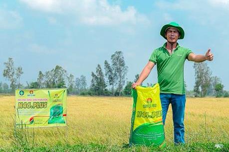 Đạm xanh N46.PLUS giúp tiết kiệm tới 30% lượng phân bón