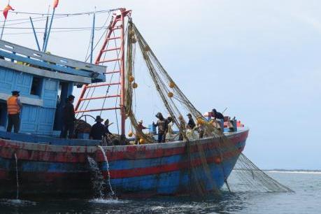 Khắc phục "thẻ vàng" IUU - Bài 1: Cà Mau triển khai nhiều giải pháp “mạnh tay”