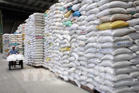 Xuất khẩu gạo lại lo bị ép giá khi vào chính vụ Đông Xuân