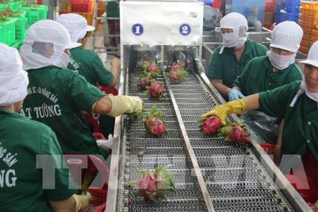 Trung Quốc có còn là thị trường nhập khẩu “dễ tính”?
