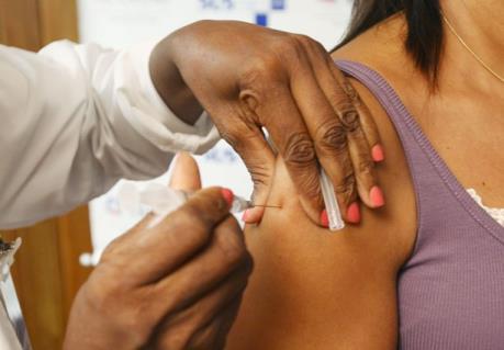 Brazil phát hiện 8 đột biến gen của virus sốt vàng da