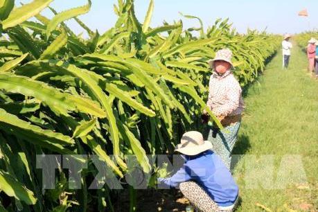 Kiến tạo chuỗi giá trị nông nghiệp công nghệ cao giữa Việt Nam và Australia