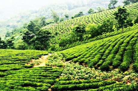  GTN: Sau kiểm toán, lãi tăng gần 20 tỷ đồng