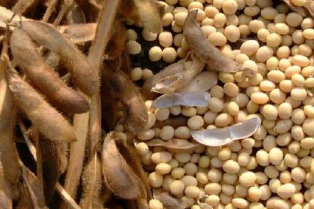 Trung Quốc công bố áp thuế bổ sung đối với hàng nhập khẩu từ Mỹ