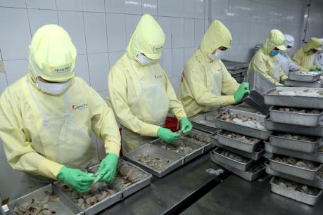 Ngành tôm đối mặt áp lực nguồn cung