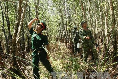 Nhiều diện tích rừng ở Cà Mau đứng trước nguy cơ cháy cao