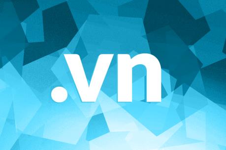 Phê duyệt danh sách tên miền quốc gia Việt Nam “.vn” cấp quyền sử dụng thông qua đấu giá