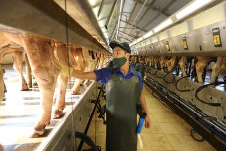 Chăn nuôi tại các vùng có lợi thế