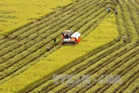 Phát triển nông nghiệp bền vững: Bài 1-Những tác động bất lợi đến Đồng bằng sông Cửu Long