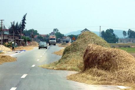 Ngăn chặn hành vi đốt rơm rạ gây mất an toàn giao thông