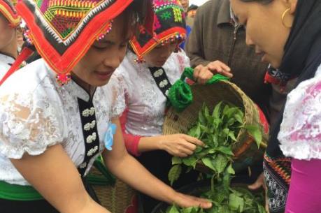 Hội trà cao nguyên Mộc Châu lần thứ III: Tôn vinh thương hiệu và giá trị chè Mộc Châu