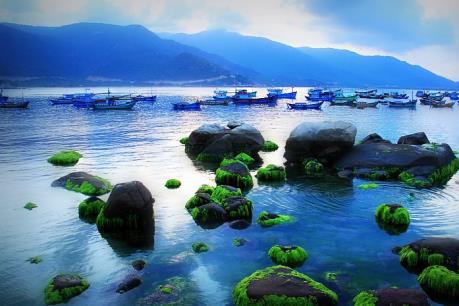 Đến với thiên đường biển đảo Bình Hưng