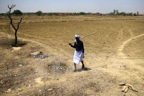 WB cho Ấn Độ vay 420 triệu USD để ứng phó với biến đổi khí hậu