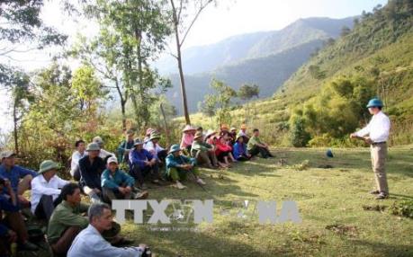 Các địa phương phải xây dựng phương án phòng cháy, chữa cháy rừng