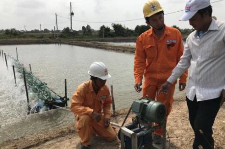 Từ Đề án thí điểm tiết kiệm điện trong nuôi tôm - Bài 1: Nhìn từ thực trạng