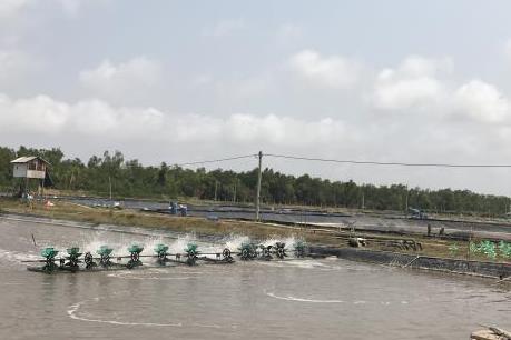 Từ Đề án thí điểm tiết kiệm điện trong nuôi tôm - Bài 2: Từ ý tưởng khả thi