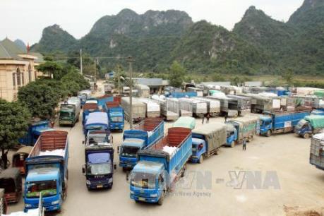 Khảo sát về thời gian thực hiện các thủ tục thông quan hàng hóa