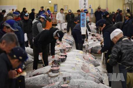 Hàn Quốc đệ đơn kháng cáo phán quyết của WTO về mặt hàng hải sản của Nhật Bản